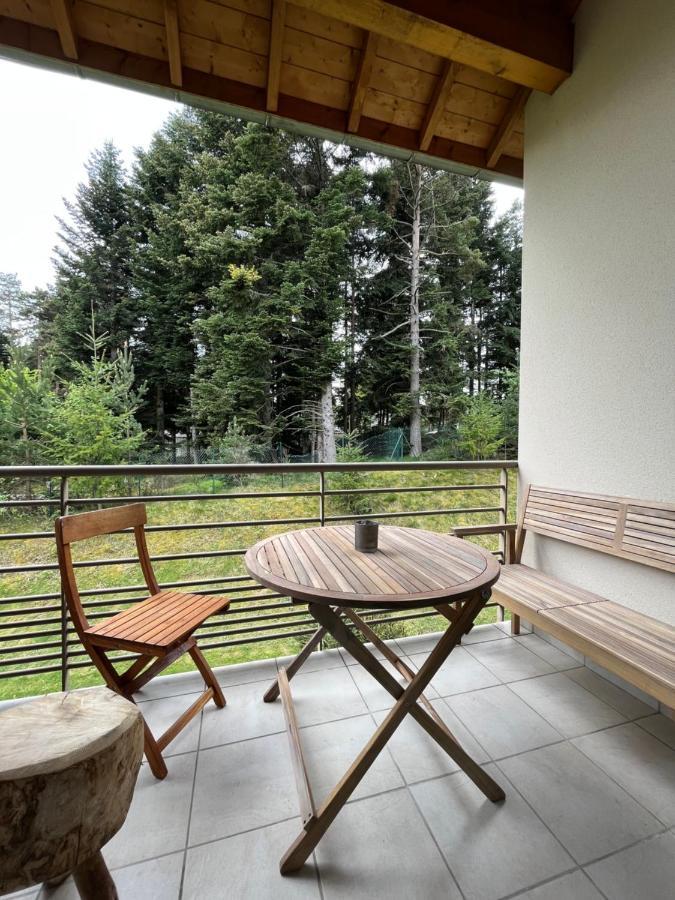 Le chantoiseau avec terrasse et parking Le Chambon-sur-Lignon Extérieur photo