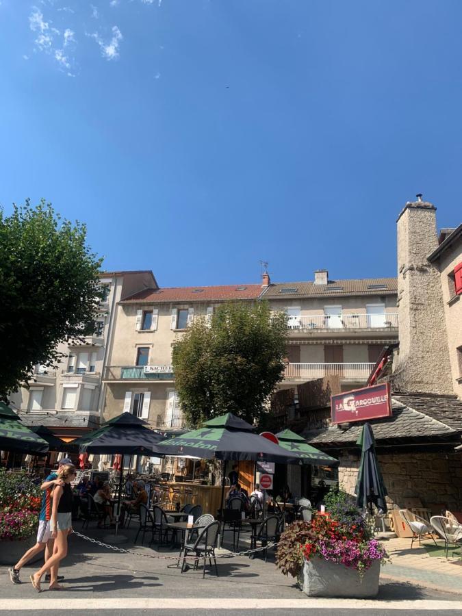 Le chantoiseau avec terrasse et parking Le Chambon-sur-Lignon Extérieur photo