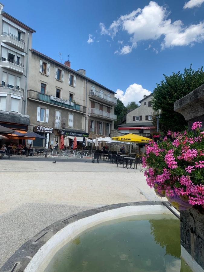 Le chantoiseau avec terrasse et parking Le Chambon-sur-Lignon Extérieur photo